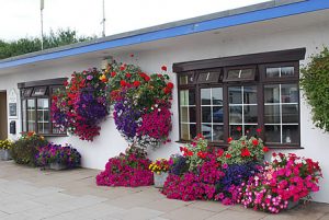 Sutton Springs - the ‘Seagull’ Bar and Restaurant